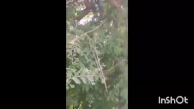 पाथ्री: शक्तिपीठ महामार्ग भूसंपादनावरून मोरवडमध्ये तणाव,शेतकऱ्याचा टोकाचा प्रयत्न,झाडावर चढून गळफास घेण्याचा केला प्रयत्न