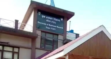 सोलन: तीन तरह के तापमान में गुच्छी की खेती के लिए किसानों को मिला बीज