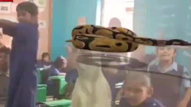 खामगाव: फळ्यांवरील चित्र आता बोलू लागली! कदमापूरच्या शाळेत अवतरले विज्ञानाचे जिवंत जग, शिक्षक कोगदे यांची किमया