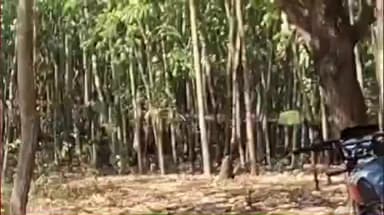 রাইপুর: জঙ্গল থেকে গৃহবধূর অর্ধদগ্ধ দেহ উদ্ধার, চাঞ্চল্য রাইপুরে