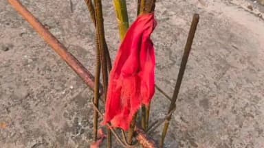 সাব্রুম: সিপিআই(এম) হরিনা অফিসের প্রচারসজ্জা নষ্ট করলো দূস্কৃতিকারীরা, তীব্র নিন্দা সিপিআই(এম) সাব্রুম মহকুমা কমিটির