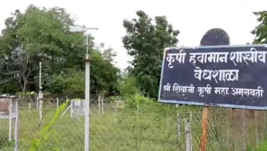 अमरावती: पुढील सात दिवस हवामान स्थिर; १५ फेब्रुवारीला अंशतः ढगाळ वातावरणाची शक्यता