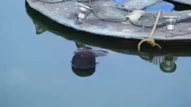 ಬೆಳಗಾವಿ: ಬೆಳಗಾವಿ ನಗರದಲ್ಲಿ ಕೌಟುಂಬಿಕ ಕಲಹಕ್ಕೆ ಬೇಸತ್ತು ವ್ಯಕ್ತಿ ಕೆರೆಗೆ ಹಾರಿ ಆತ್ಮಹತ್ಯೆಗೆ ಶರಣು