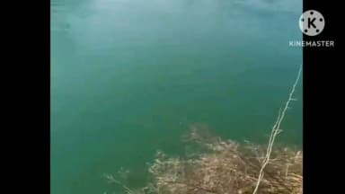 ਪਟਿਆਲਾ: ਬੀਤੇ ਦੋ ਦਿਨਾਂ ਤੋਂ ਲਾਪਤਾ ਪਟਿਆਲਾ ਭਾਜਪਾ ਦੇ ਆਗੂ ਅਨਿਲ ਮੰਗਲਾ ਦੀ ਭਾਖੜਾ ਨਹਿਰ ਚੋ ਬਰਾਮਦ ਹੋਈ ਲਾਸ਼