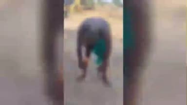 திருவெண்ணைநல்லூர்: பெண்ணைவலம் கிராமத்தில் தனியார் நிதி நிறுவனம் ஊழியர் மிரட்டியதால் விவசாயி தற்கொலை முயற்சி: