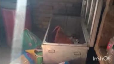 वज़ीरगंज: वजीरगंज के रामपुर में चोरों ने एक ही रात तीन घरों को बनाया निशाना, लाखों की चोरी