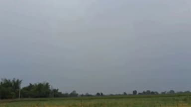 हरदा: हरदा जिले में मौसम बदलने से किसानों की चिंता बढ़ी, चने और गेहूं की फसल में बीमारी का डर