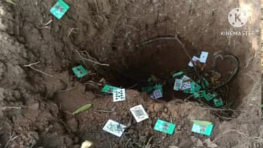 మహబూబాబాద్: గూడూరు మండలం సీతానగరం అటవీ ప్రాంతంలో గుప్త నిధుల కోసం తవ్వకాలు జరిపిన గుర్తుతెలియని వ్యక్తులు