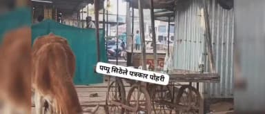 पोहरी बसस्टैंड पर. मौजूद कलारी होने से लोग शराब लेकर खुलेआम वही शराब पी जा रही है जिससे यात्रियों को आती है परेशानी