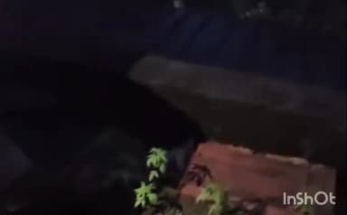 കോഴിക്കോട്: ബാലുശ്ശേരിക്ക് സമീപം തലയാട് വീടിൻ്റെ ടെറസിൽ കഞ്ചാവ് ചെടികൾ വളർത്തിയ യുവാവിനെ പൊലീസ് അറസ്റ്റ് ചെയ്തു.