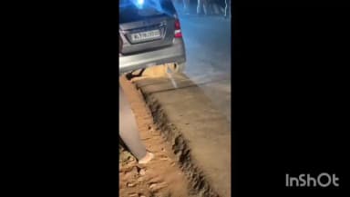 കോഴിക്കോട്: റോഡ് മുറിച്ച് കടക്കുന്നതിനിടെ പന്നി കാറിന് അടിയിൽ പെട്ടു, നാദാപുരം- പെരിങ്ങത്തൂർ റോഡിലാണ് സംഭവം