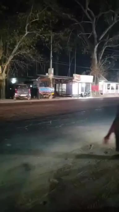 পলাশবাৰী: নিশা পলাশবাৰী সমষ্টিত বনৰীয়া হাতীৰ মূক্ত বিচৰণ