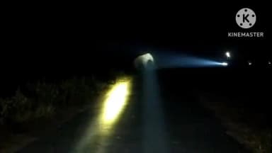 ମୋରଡା: ବଡାମପୁର ଜଙ୍ଗଲରେ ଥିବା ୯ଟିକିଆ ବଣୁଆ ହାତୀପଲ ବେତନଟୀ ମୁହାଁ ଅଗ୍ରସର ହେଉଥିବା ନେଇ ସତର୍କ ସୂଚନା ଜାରିକଲା ବନବିଭାଗ, ଗଜସାଥୀ ସଜାଗ