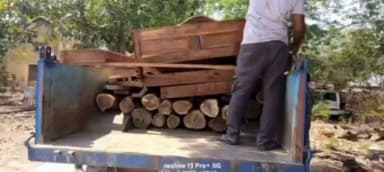 खरसिया: खरसिया में अवैध सागौन पर बड़ी कार्रवाई, प्रशिक्षु IFS अधिकारी कुणाल मिश्रा की रेड में ट्रैक्टर भर लकड़ी जब्त