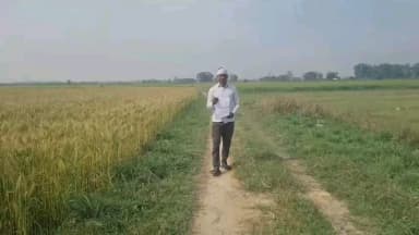 सहावर: याकूतगंज पर जमीन पर अवैध कब्जा करने का प्रयास, मारपीट की गई, पुलिस से की गई शिकायत