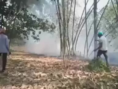 ବଡଗାଁ: ଯାଜପୁର ରଙ୍ଗିଆପଡା ଗ୍ରାମ ନିକଟସ୍ଥ ଚାଷ ଜମିରେ ଲାଗିଲା ନିଆଁ