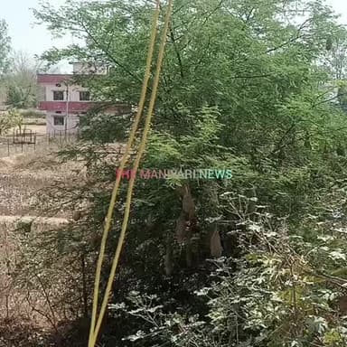 मुंगेली: लू से बचाव के लिए प्रशासन ने जारी की एडवाइजरी, दोपहर में बाहर निकलने से बचें, पानी-तरल पदार्थ ज्यादा पिएं