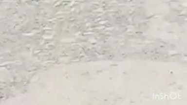 लालगंज: खीरो विकासखंड के लऊ खेड़ा और बस्ती को जोड़ने वाली सड़क की हालत अत्यंत खराब, ग्रामीणों को आवागमन में हो रही परेशानी