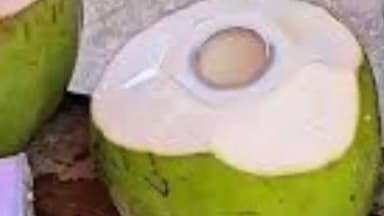 खरगौन: नारियल पानी पीकर मलाई फेंक देते हैं? तो जान लें इसके जबरदस्त हेल्थ सीक्रेट, यही है सबसे बड़ा नुकसान