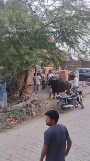 इटावा के गॉव मामन मे प्रकाश बाबू चिक उर्फ़ अमीन अपने परिवार के साथ मिलकर गुंडा गर्दी से पड़ोसी को मारा