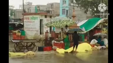 पाली: पाली एवं आसपास के ग्रामीण क्षेत्रों में बेमौसम बारिश से किसानों को हुआ भारी नुकसान, फसलों के अंकुरण की आशंका