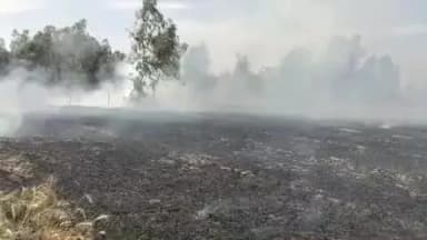 vikaskhand sirauli gauspur madarpur gehun ke khet mein lagi Aag