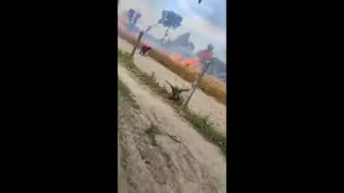 तरबगंज: नवाबगंज के पहली गांव में अज्ञात कारणों से गेहूं की फसल में लगी आग, धू-धू कर जल रहा है गेहूं का फसल, वीडियो हुआ वायरल