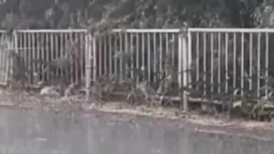 जवा: रीवा में मौसम का तांडव: अगले 7 दिनों तक आंधी-बारिश का अलर्ट, 10 अप्रैल तक राहत नहीं