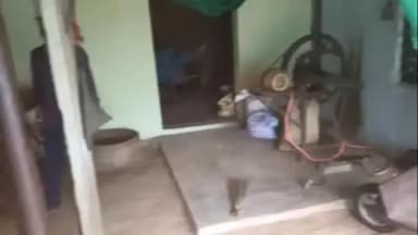 लक्ष्मणगढ़: बेरी इलाके में एक मकान के ऊपर गिरी आकाशीय बिजली, दो जानवरों की हुई मौत