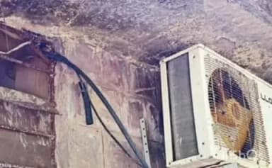 बारां: बारां में चोरों के हौसले बुलंद, समग्र शिक्षा कार्यालय में चोरी का किया प्रयास