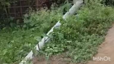 राघोपुर: राघोपुर में आंधी-ओलावृष्टि से भारी तबाही, शादी का पंडाल ध्वस्त, मखाना और मक्का फसल बर्बाद, बिजली ठप