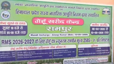 ऊना: सरकारी अनाज मंडी में गेहूं की खरीद शुरू, किसानों को 15 जून तक अपनी गेहूं बेचने की मिलेगी सुविधा