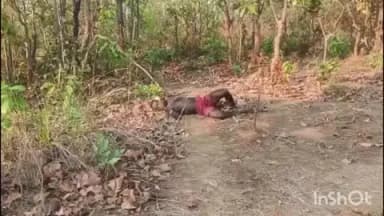 ରେଢାଖୋଲ: ଚାରମାଳ ଗ୍ରୀଡ ନିକଟରୁ ଅଜଣା ବ୍ୟକ୍ତି ର ମୃତ ଦେହ ଉଦ୍ଧାର