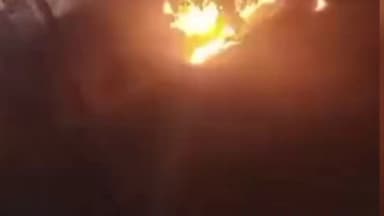 निवाड़ी: ओरछा के जंगल में भीषण आग, ऐतिहासिक क्षेत्र पर मंडराया खतरा