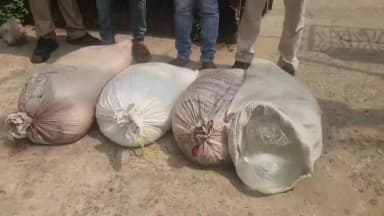 ବାଲେଶ୍ବର ସଦର: ନୀଳଗିରି କାହାଳିଆ ଅଞ୍ଚଳରେ ଜିଲ୍ଲା ଅବକାରୀ ମୋବାଇଲ ୟୁନିଟର ଚଢ଼ାଉ, ୨ଶହ ଲିଟର ଦେଶୀ ମଦ ଜବତ,ଦୁଇ ଗିରଫ