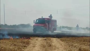 दतिया: पाल ढाबा के पास नरवाई में भीषण आग, 60 बीघा फसल जली, कड़ी मशक्कत के बाद फायर ब्रिगेड ने पाया काबू