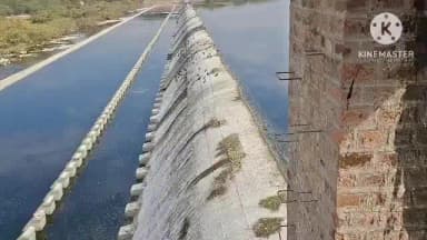 रोहट: रोहट तहसील के नेहेड़ा बांध के प्रदूषित पानी से खराब हो रहे खेत व फसलों को लेकर क्षेत्र के किसान मिले नेता प्रतिपक्ष से