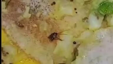 रायसेन: रेस्टोरेंट के डोसे में मिला मरा कॉकरोच, अधिवक्ताओं ने वीडियो बनाकर संचालक पर कार्रवाई की मांग की