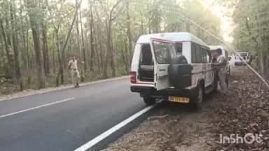 ଜୁଜୁମୁରା: କୁଲଚେର ସଂରକ୍ଷିତ ଜଙ୍ଗଲରେ ହାତୀ ଆକ୍ରମଣରେ କେନ୍ଦୁପତ୍ର ତୋଳାଳୀଙ୍କ ମୃତ୍ୟୁ