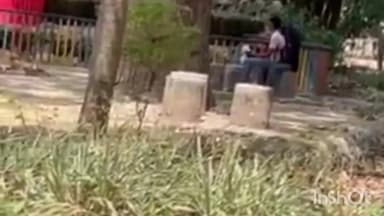 बरेली: कैंट थाना क्षेत्र के एक पार्क में अश्लीलता का आरोप लगाते हुए वीडियो हुआ वायरल, कार्यवाही की मांग