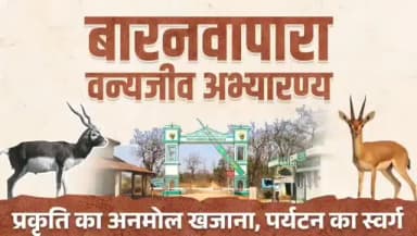 मुख्यमंत्री श्री विष्णुदेव साय के नेतृत्व में सुशासन सरकार प्रकृति संरक्षण को नई दिशा दे रही है।
बलौदाबाजार-भाटापारा के...