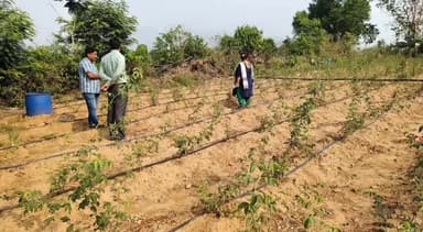 ରାୟଗଡା: ଶୁଣ୍ଢିଧାମୁଣି ଗ୍ରାମ ପଞ୍ଚାୟତ ଗସ୍ତ କରି ସ୍ଥାନୀୟ ଏସ ଏଚ ଜି ମହିଳାଙ୍କ ଦ୍ୱାରା ଚାଷ କରାଯାଉଥିବା ଗୋଲାପ ବଗିଚା ପରିଦର୍ଶନ କଲେ ବିଡ଼ିଓ