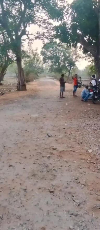 दंतेवाड़ा: पीएमजीएसवाई ने बोर्ड लगाया, लेकिन डामरीकरण को भूला विभाग