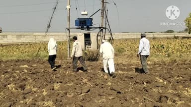 पंधाना: बोरगांव बुजुर्ग: फसल सूखने पर किसान भगवान महाजन ने बिजली विभाग पर लगाए गंभीर आरोप