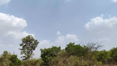 पुनासा: पश्चिमी विक्षोभ का असर: जिले में कहीं-कहीं बूंदाबांदी, दिन-रात का तापमान 0.4 डिग्री सेल्सियस बढ़ा