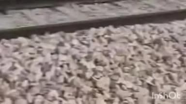 धौलपुर: धौलपुर में रेलवे ट्रैक किनारे मिला युवक का शव, इलाके में फैली सनसनी