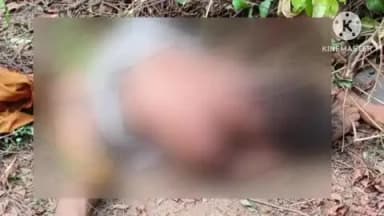 ଜୁଜୁମୁରା: ପଧାନ ପାଲି ଗ୍ରାମ୍ୟ ଜଙ୍ଗଲ ରେ ହାତୀ ଆକ୍ରମଣରେ ଜଣେ ମୃତ
