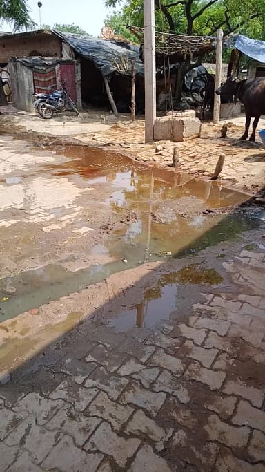 pani ka nikash na hone ke karan sdak me gandgi phail rahi hai aur bimari ho rahi hai.