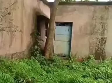 टेढ़ागाछ: टेढ़ागाछ प्रखंड के हाटगांव राजीव गांधी सेवा केंद्र की बदहाल स्थिति, गंदगी से ग्रामीण परेशान
