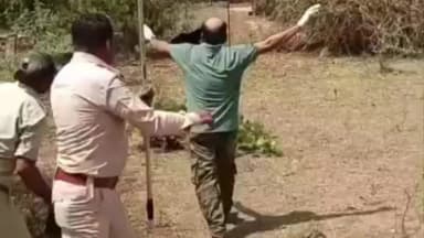 टिमरनी: टिमरनी के गोंदागांव में भालू का सफल रेस्क्यू, पचमढ़ी की टीम ने जंगल में छोड़ा